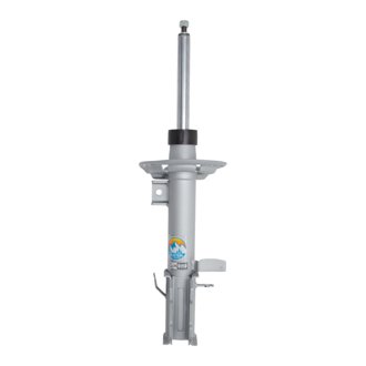 B8 TerraSport - Suspension Strut Assembly