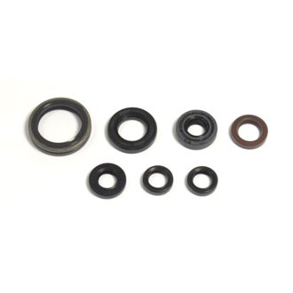 13-15 Gas Gas EC F 300 Engine Oil Seal Kit