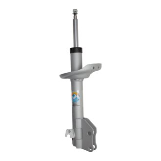 B8 TerraSport - Suspension Strut Assembly