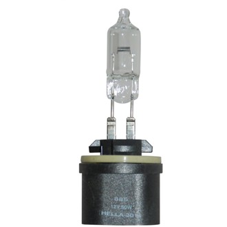 Multi-Purpose Light Bulb