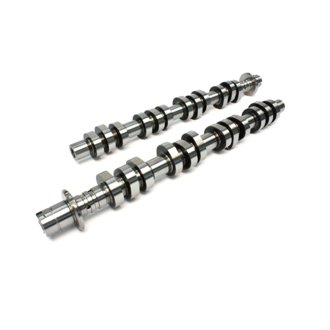 Camshaft Set F4.6 3V Modular