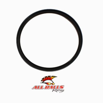 Brake Drum Seal