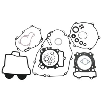 Complete Gasket Kit Withoil Seals