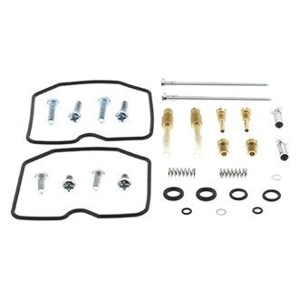 Carburetor Rebuild Kit