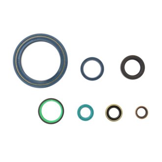 75-83 Ducati 900 Engine Oil Seal Kit
