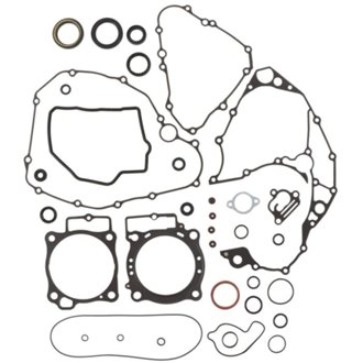 Complete Gasket Kit Withoil Seals