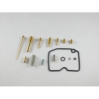 Carburetor Repair Kit