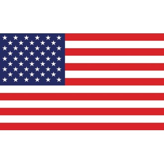 Whip Flag - American Flag