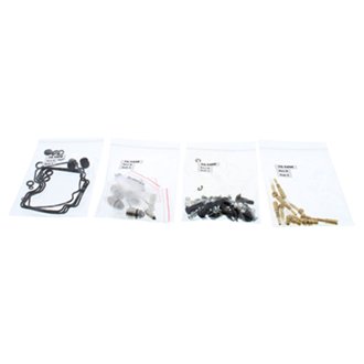 Carburetor Rebuild Kit
