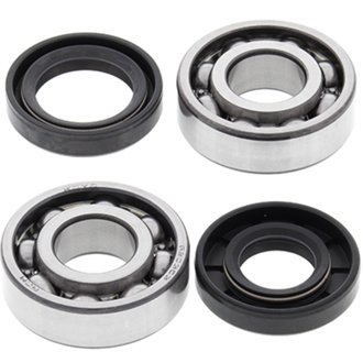 Crank Bearing And Seal Kit