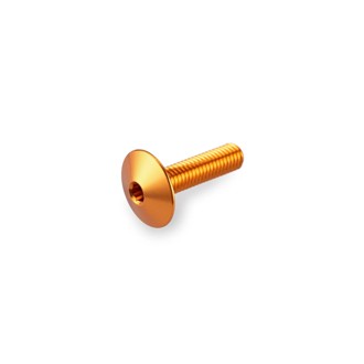 Screw Kit Anodized For Screens Gold