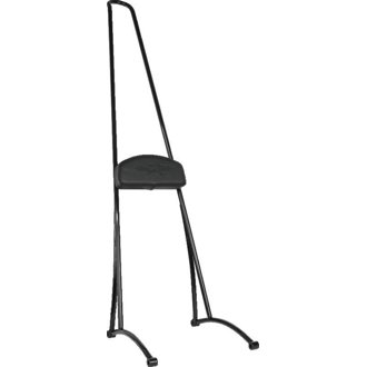 Stupid Tall Sissy Bar