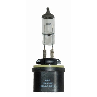 Multi-Purpose Light Bulb