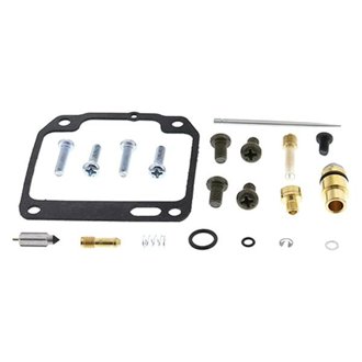 Carburetor Rebuild Kit
