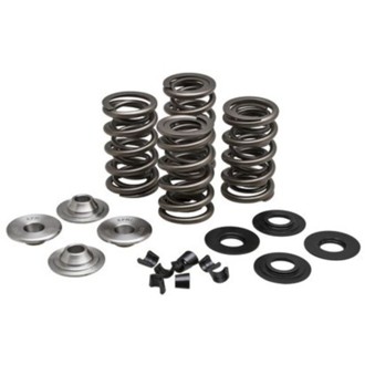 Kpmi Racing Spring Kit, Titanium, 0.675" Lift, 5/16" HD