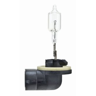 Multi-Purpose Light Bulb