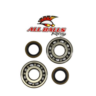 Allballs Crank Bearing And Seal Kit