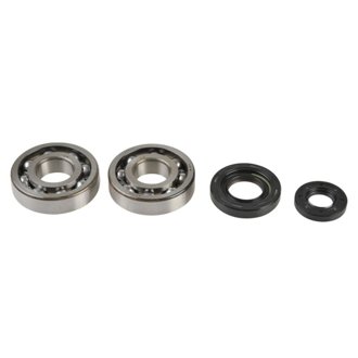 22-23 Fantic XX 250 2T Main Bearing & Seal Kit