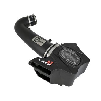 Momentum Gt Cold Air Intake System W/ Pro Dry S Filter