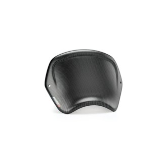 Front Plate Abs Carbon Look