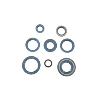 78-89 Cagiva 350 Engine Oil Seal Kit