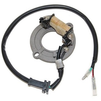 Electrosport Stator Honda CR80