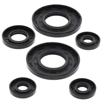 Engine Oil Seal Kit
