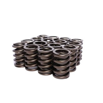 Valve Springs Outer W/Damper