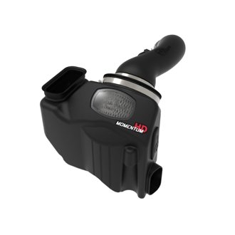 Momentum Hd Cold Air Intake System W/ Pro Dry S Filter