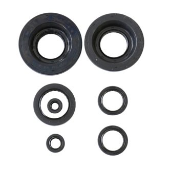 06-22 Honda TRX 680 FourTrax Rincon Engine Oil Seal Kit
