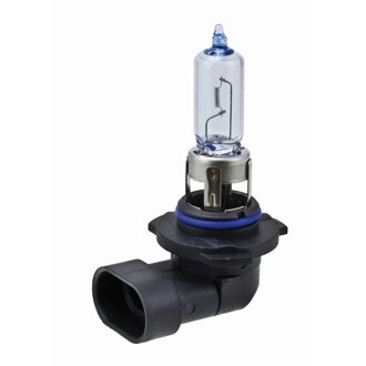 Multi-Purpose Light Bulb