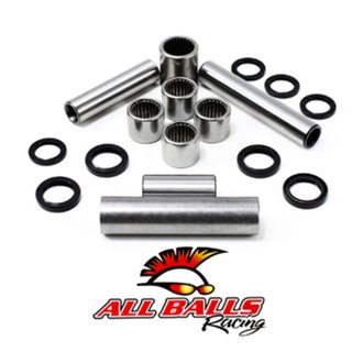 Swing Arm Linkage Bearing Kit