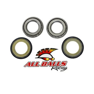 Steering Bearing Kit