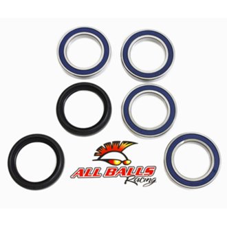 Wheel Bearing Kit Rear