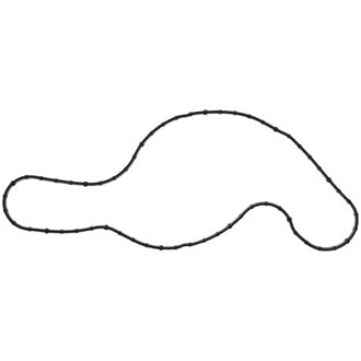 Engine Water Pump Gasket