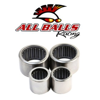 Swing Arm Bearing Kit