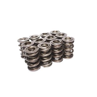 Valve Springs 2.100in Triple D