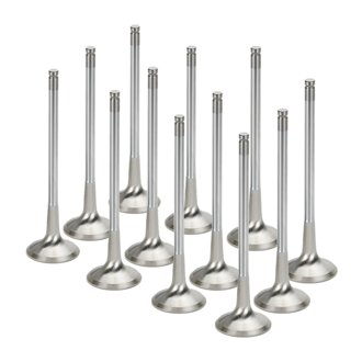 BMW N54 Turbo Sodium Filled Exhaust Valves - Set of 12
