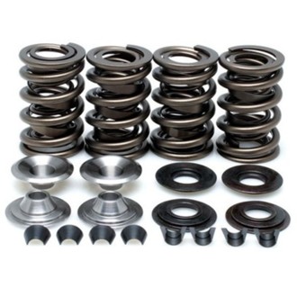 Kpmi Spring Kit, Lightweight Racing, 0.650" Lift, HD