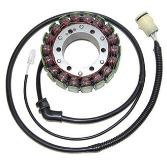 Electrosport Stator Kawasaki ZX-12R (00-01) A1/A2