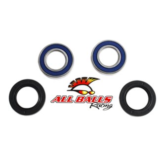 Wheel Bearing Kit Rear