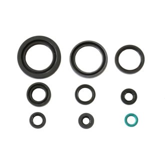 06-13 Honda Foreman 450 Engine Oil Seal Kit