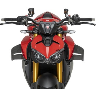 Spoilers D12 Carbon look