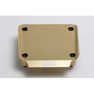 RB26 Cover Transistor - Gold