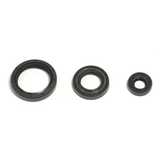 10-12 Husqvarna TE/TXC 250 Engine Oil Seal Kit