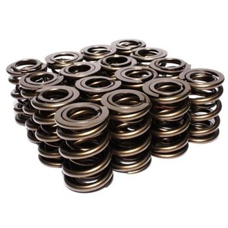 Valve Springs 1.630in Inter-Fi