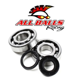 Crank Bearing Kit