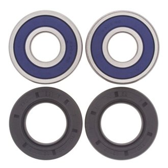 Wheel Bearing Kit Rear