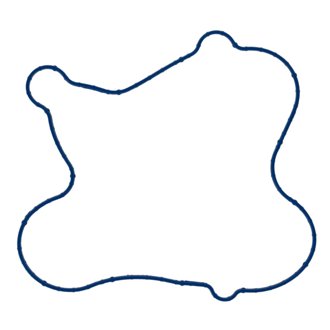 Engine Water Pump Gasket