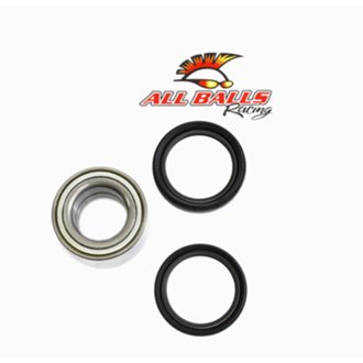All Balls Wheel Bearing Kit